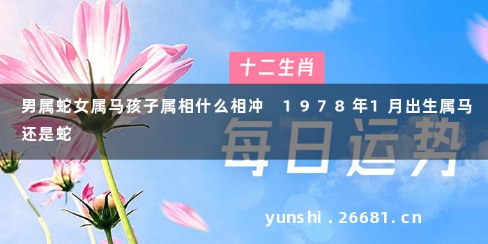 男属蛇女属马孩子属相什么相冲 1978年1月出生属马还是蛇